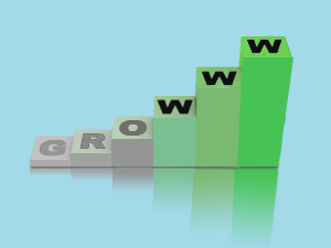 web design and development picture